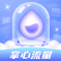 掌心流量软件