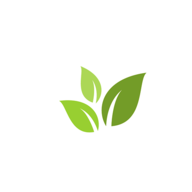 茶言茶语软件