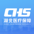 湖北智慧医保软件