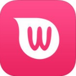 WeiFeng软件