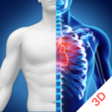 3D人像软件
