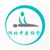 湖北中医推拿软件