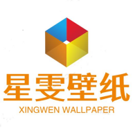 星雯壁纸软件
