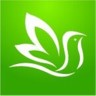百灵健康基层医生版软件