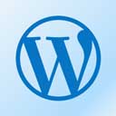 wordpress软件
