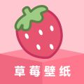 草莓壁纸免费官方版软件