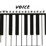 voicetube软件