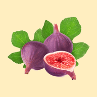 花果世界软件