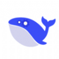Deepseek助手软件