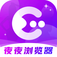 夜夜浏览器软件