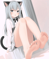猫羽䨒音盒子软件