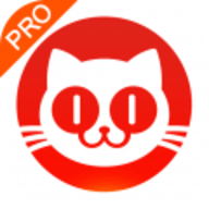 猫眼票房专业版软件