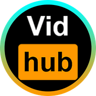 Vidhub软件