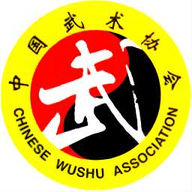 中国武术软件