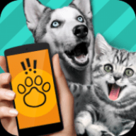 宠物对话翻译器(Pet Translator)软件