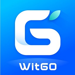 WitGo软件