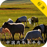 中国肉类网软件