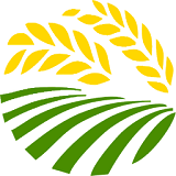 麦田软件