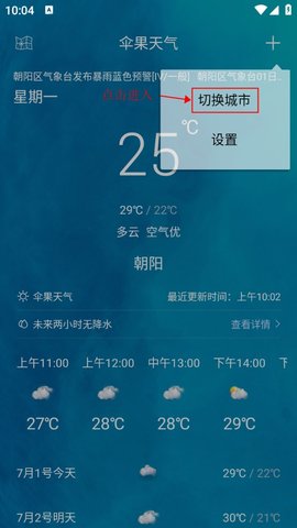 伞果天气