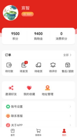 宸智 宸智
