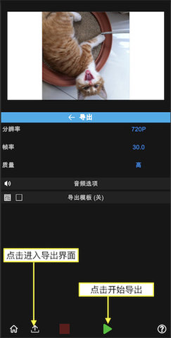 nv剪辑官方版