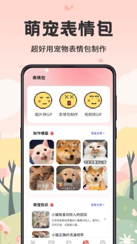 猫语Talker交流器 猫语Talker交流器
