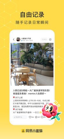 网易小蜜蜂 网易小蜜蜂