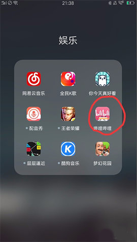 bilibili谷歌版