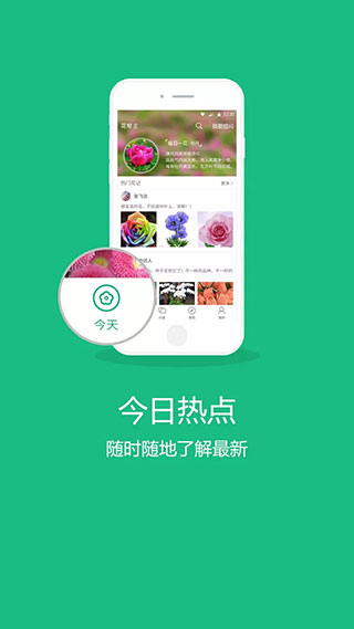 花帮主 花帮主
