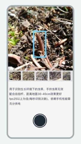 乐见虫草 乐见虫草