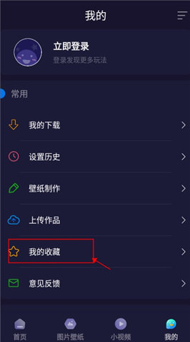 每日动态主题壁纸