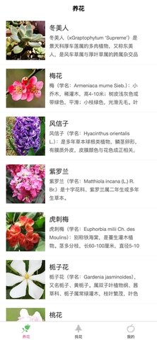 花草壹家 花草壹家