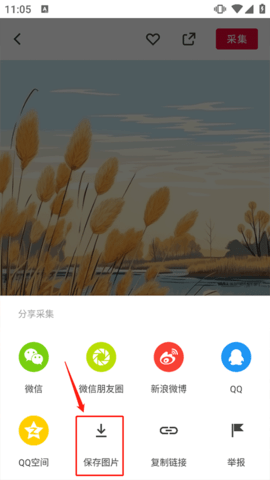 花瓣网