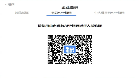 山东省电子税务局 山东省电子税务局