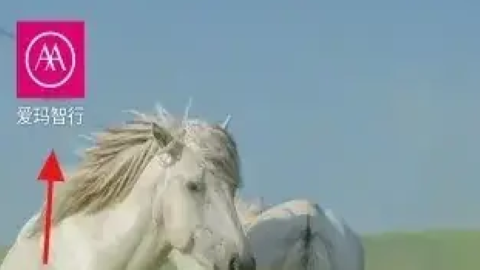 爱玛出行 爱玛出行