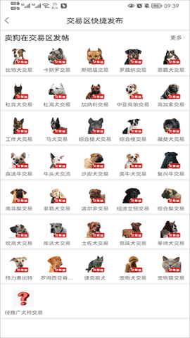 猛犬俱乐部 猛犬俱乐部