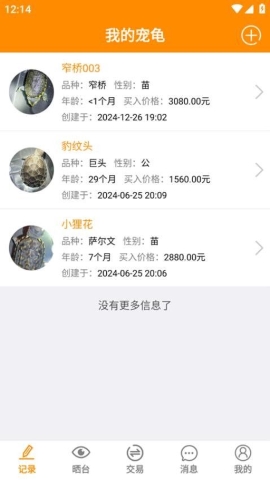 龟圈江湖 龟圈江湖