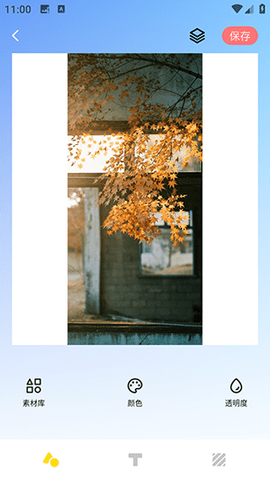 小蘑菇 小蘑菇