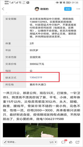 猛犬俱乐部 猛犬俱乐部