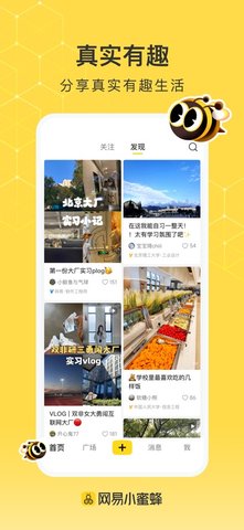 网易小蜜蜂 网易小蜜蜂