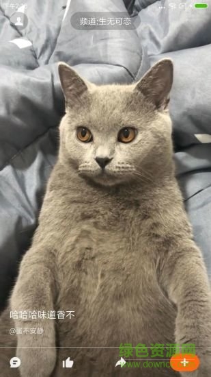 哈萌视频 哈萌视频app下载