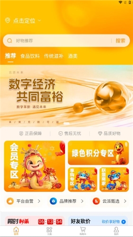 云派未来