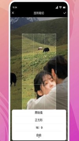 蜜桔制作 蜜桔制作