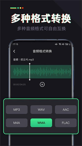 伴奏专家 伴奏专家