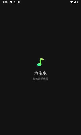 汽泡水 汽泡水