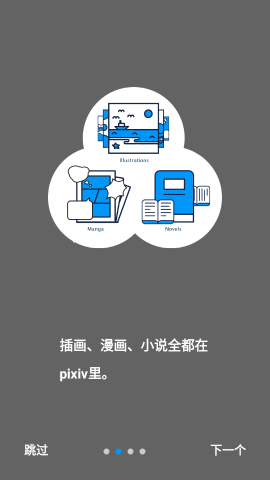 P站浏览器 P站浏览器