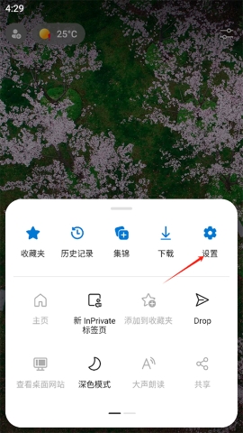 微软浏览器 微软浏览器