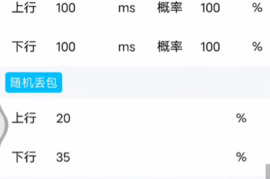 北辞弱网内部参数 北辞弱网内部参数