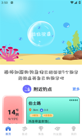 鱼迹 鱼迹