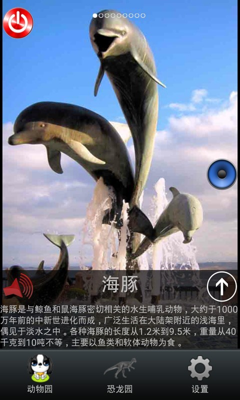 宝宝动物认知
